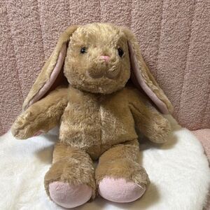 Build-A-Bear Workshop Brown Rabbit Plush Stuffed Animal Pink Ears
